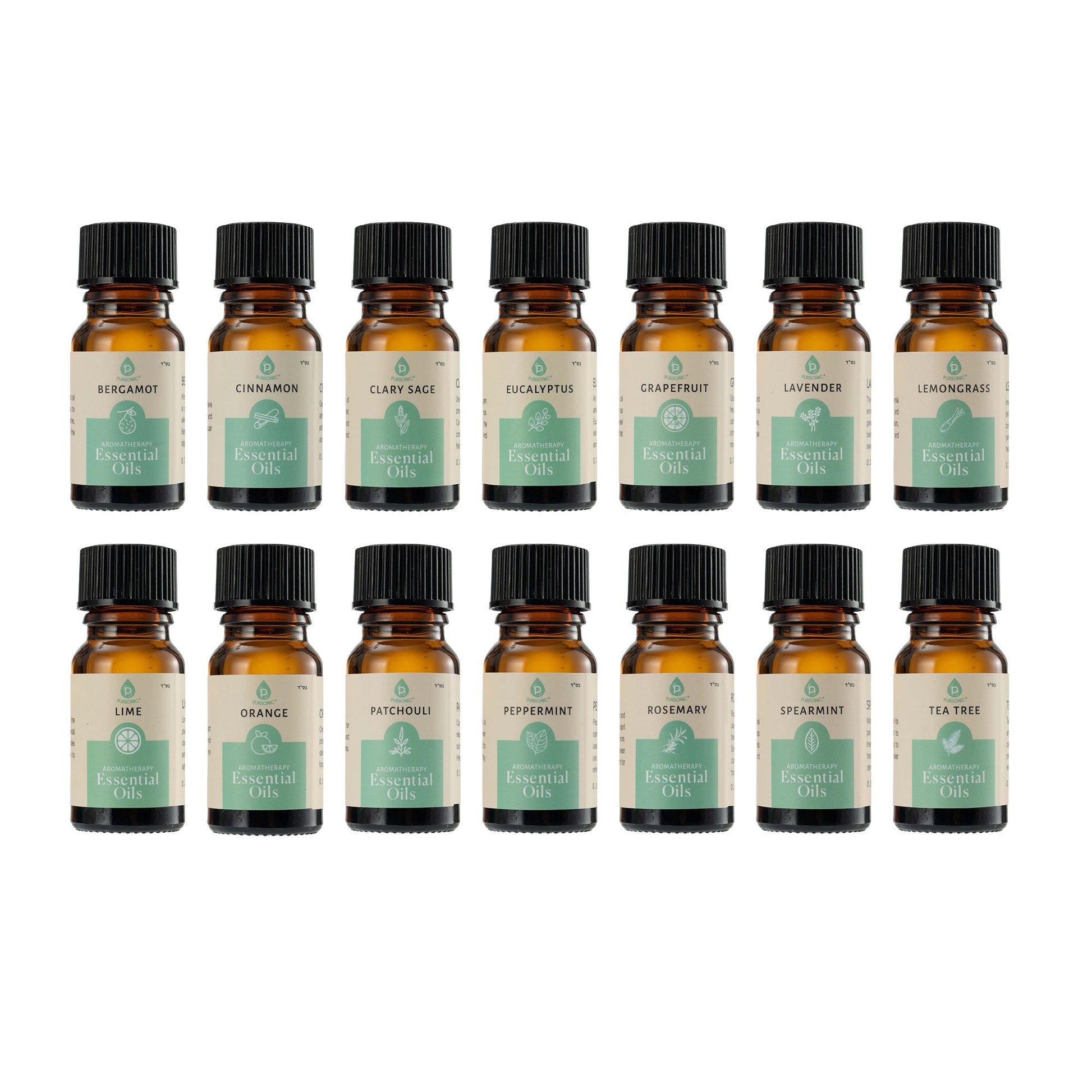 Seasonal Scents Christmas Essential Oils Collection - Health & Longevity Life