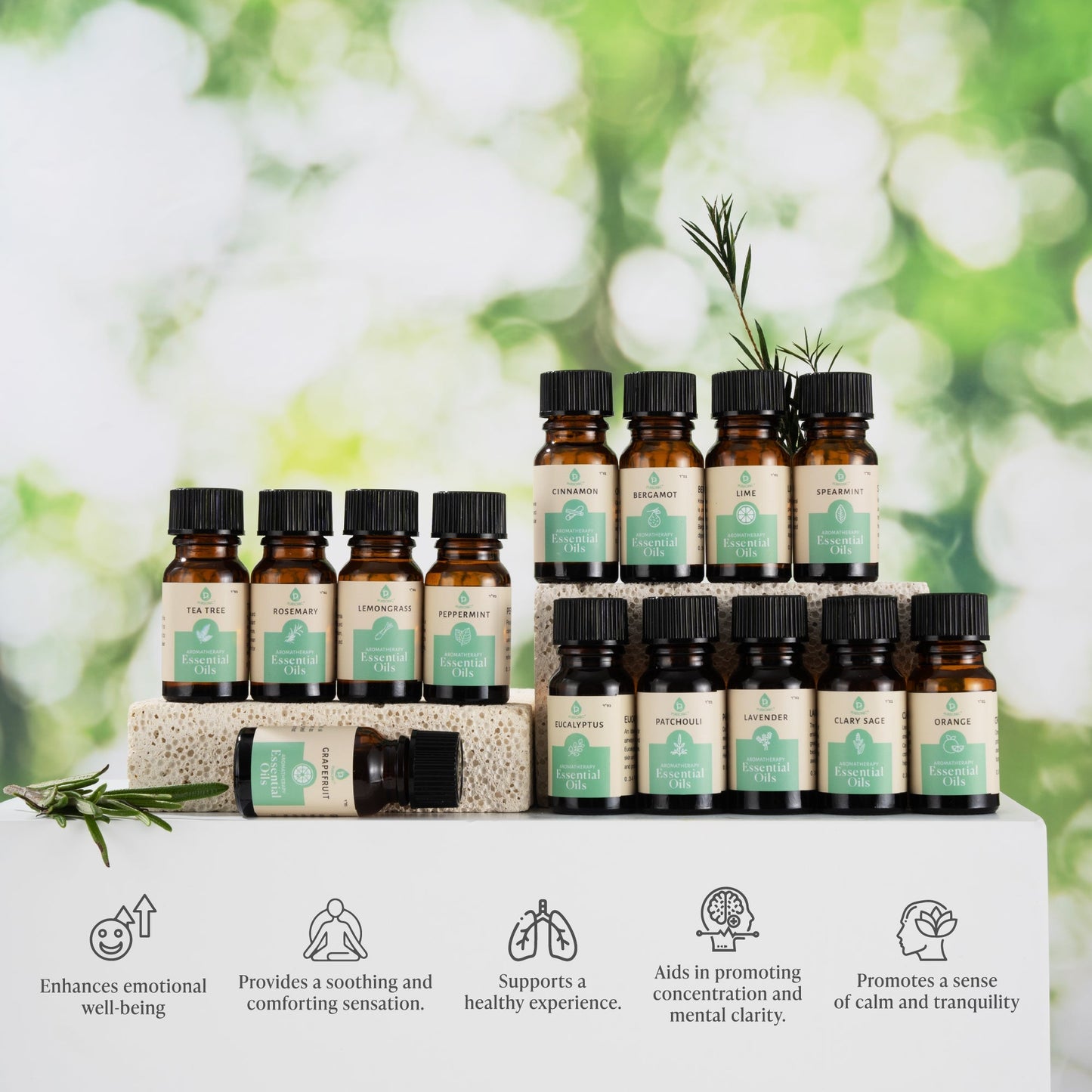 Seasonal Scents Christmas Essential Oils Collection - Health & Longevity Life
